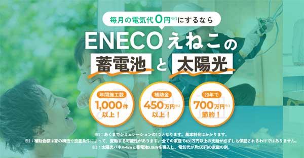 蓄電池のえねこ